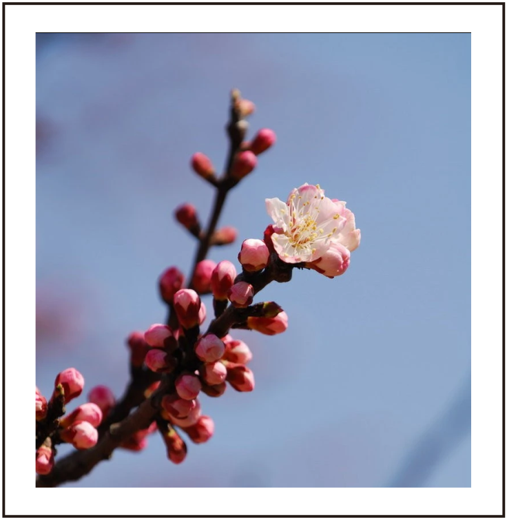 644786eef2a06.png